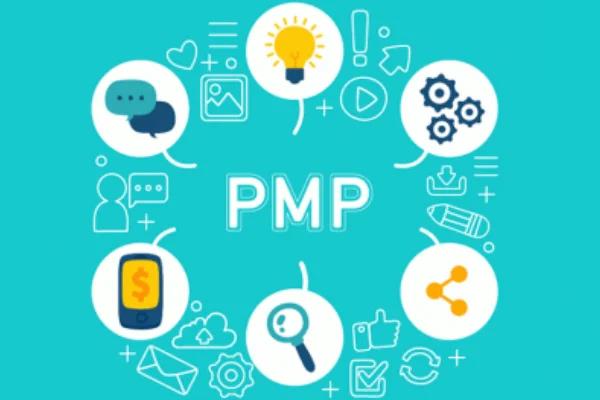 项目管理证书pmp